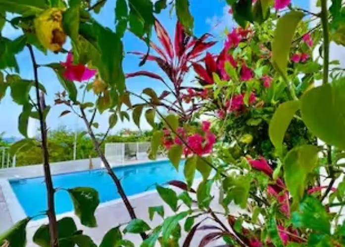 Ocean View Poolside Montego Bay